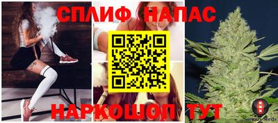 ECSTASY Новозыбков