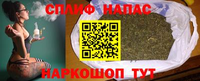 ECSTASY Новозыбков
