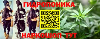 ECSTASY Новозыбков