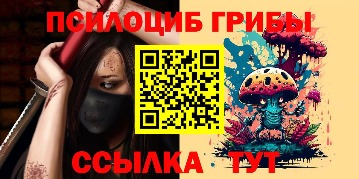 Псилоцибиновые грибы Psilocybe  Псилоцибиновые грибы MAGIC MUSHROOMS  Вход с VPN  Междуреченск 